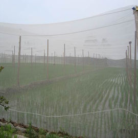 中国 40の網の病気の防止のための非有毒得る100%のHDPEの昆虫の網 サプライヤー