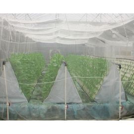 中国 小さい小屋のための0.6 * 0.6mmの無臭の白を得る明白な編む昆虫の網 サプライヤー