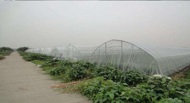 中国 45gsm反蜂の農業の温室のための白い昆虫の網の網 サプライヤー