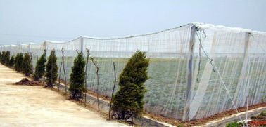 中国 Hdpeの昆虫の証拠の網/温室のプラスチック反昆虫の網 サプライヤー
