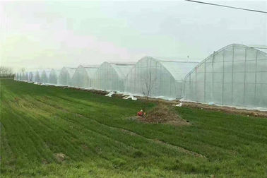 中国 温室の昆虫の網の網、リストされている蚊帳の窓スクリーンISO9001 サプライヤー