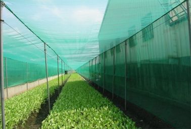 中国 実生植物-上昇プロセス48%気孔率のカスタマイズされた昆虫の網の網 サプライヤー
