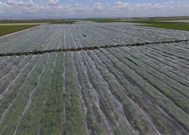 中国 耐久のHDPEの穀物によって損なわれる保護のためのプラスチック昆虫の網の網 サプライヤー
