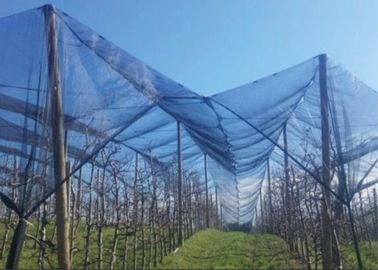 中国 庭の温室の屋外の蚊帳の気候は長い生命の間安定する紫外線を得ます サプライヤー