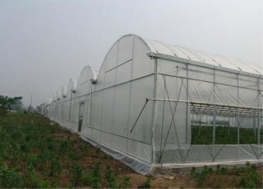 中国 農業の表紙材料100-150m/ロールを得るより大きい昆虫の網 サプライヤー