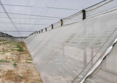 中国 細かい網の単繊維の蚊帳スクリーン カスタマイズされたはえスクリーンの網 サプライヤー