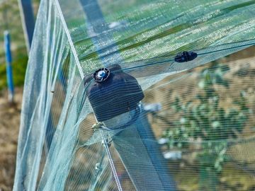中国 温室の養樹園のための100%のHDPE 4x50mの昆虫の網の網/農業 サプライヤー