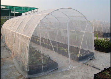 中国 高い効力80gsmの軽量の昆虫の窓の網30の網3mの幅 サプライヤー
