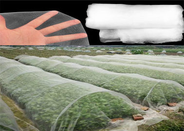 中国 Hdpeの若い野菜穀物のための白い色を得る物質的な昆虫の網 サプライヤー