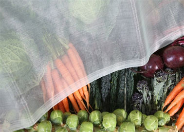中国 1.35 x 1.35 Mmの網の穴の野菜フルーツの保護のためのプラスチック昆虫の網 サプライヤー