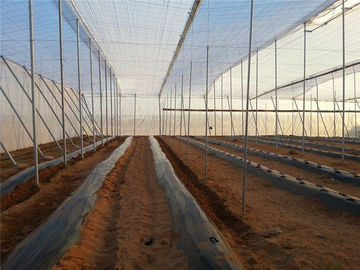 中国 網250メートルの昆虫スクリーンの、100%のHDPEの温室の昆虫の保護網 サプライヤー