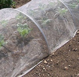中国 プラスチック農業の温室の反アブラムシの野菜保護のための白いはえの昆虫の網 サプライヤー