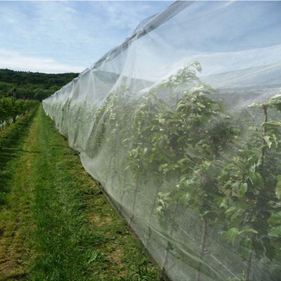 中国 野菜花のための昆虫の鳥の障壁の網の網は損傷からの換気する庭のための耐久のおよび再使用された完全実を結ぶ サプライヤー