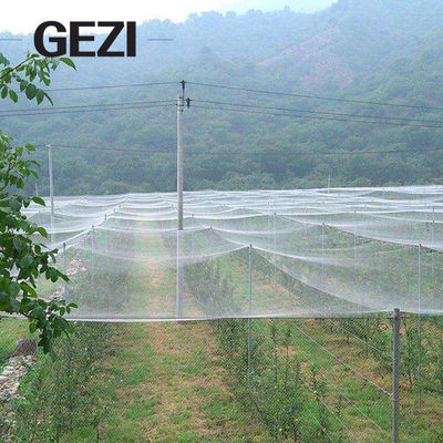 中国 0.3×0.3mm庭野菜カバー網の工場のための紫外線Resistatの農業の昆虫の純Greenhousの100%のバージンの網 サプライヤー