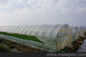 野菜温室のトンネルの耕作のための農業のあられの保護網 サプライヤー