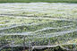 容易農業の昆虫の網、温室のための反あられの網を取付けて下さい サプライヤー