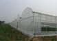 昆虫の証拠の庭の網、カスタマイズされる農業の昆虫の網の長さ サプライヤー