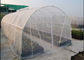 高い効力80gsmの軽量の昆虫の窓の網30の網3mの幅 サプライヤー