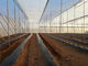 網250メートルの昆虫スクリーンの、100%のHDPEの温室の昆虫の保護網 サプライヤー