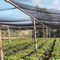 100%の新しいHDPE材料の農業の太陽の緑の陰の網 サプライヤー
