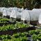 25網45gの園芸のprotectioのための白く透明な着色された庭の温室のプラスチック昆虫の排除の網の網 サプライヤー