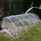 温室の純蚊帳の昆虫の保護純反昆虫の網のHDPEのプラスチックは農業のための反アブラムシの網を得る サプライヤー