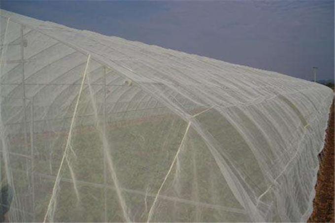 温室の養樹園のための100%のHDPE 4x50mの昆虫の網の網/農業