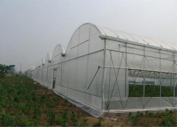野菜の温室の昆虫の網の網、果樹の昆虫の証拠カバー網