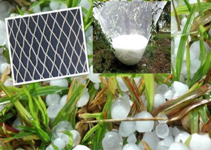 耐久のHDPEの穀物によって損なわれる保護のためのプラスチック昆虫の網の網