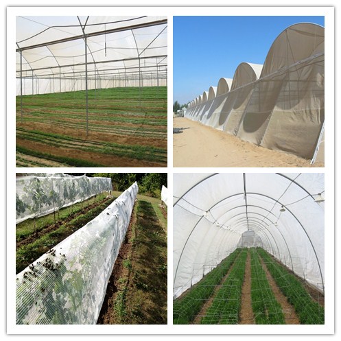 容易農業の昆虫の網、温室のための反あられの網を取付けて下さい