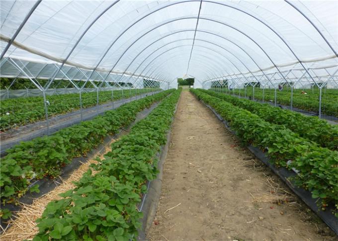 HDPE 40/50/60は高い紫外線昆虫の網の網によって覆われるトマトの単一のスパンの温室を一致させます