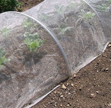 プラスチック農業の温室の反アブラムシの野菜保護のための白いはえの昆虫の網