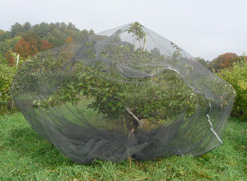 編まれるゆがみ果樹の昆虫スクリーンの網袋の保護網を覆います