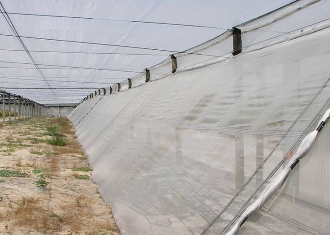 温室の養樹園のための100%のHDPE 4x50mの昆虫の網の網/農業
