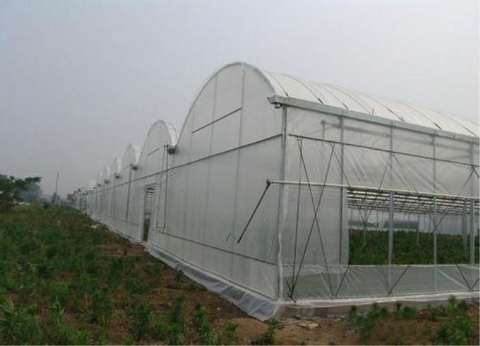 温室および平織り0.3mmワイヤー直径を得るトンネルの昆虫の網
