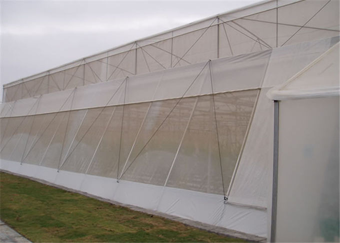 温室のカバーのための1-10 Mの幅を得る専門の昆虫の網