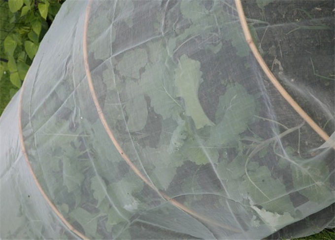 菜園のための反はえの昆虫の網を得る温室