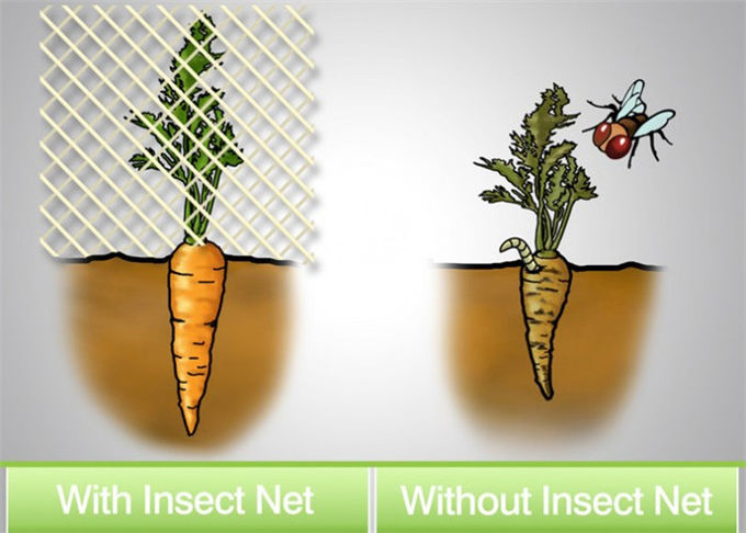 反反昆虫-あられの網の網、農業、穀物カバー網、果樹カバー、温室カバー網