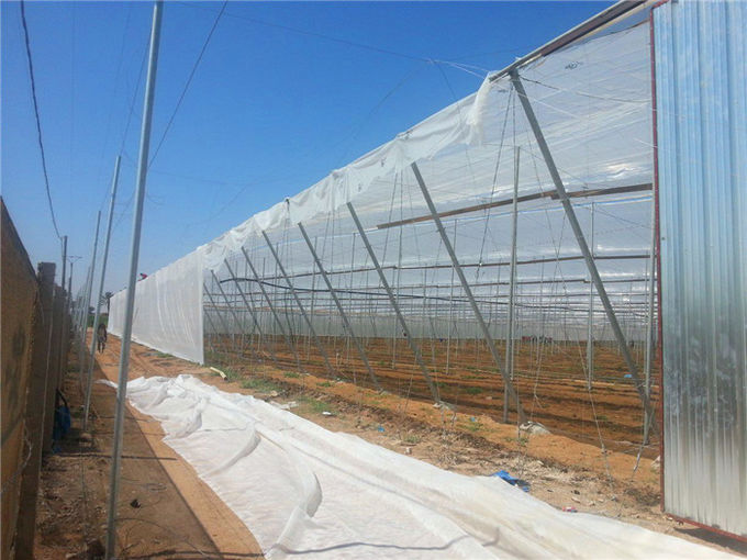 反反昆虫-あられの網の網、農業、穀物カバー網、果樹カバー、温室カバー網