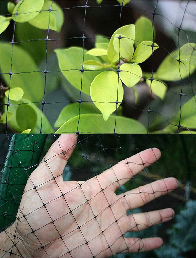 3/4"反鳥の網の堅いシカの塀を得る網サイズの昆虫の網2メートルの幅