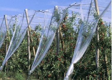 中国 HDPEのカスタマイズされる養樹園の鍋のサイズのための単一のフィラメントの昆虫の網の網 サプライヤー